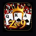 zee9 icon game