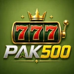 pak500.logo