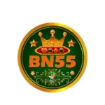 bn55.com