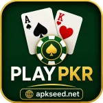playpkr.game