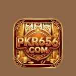 pkr656.game