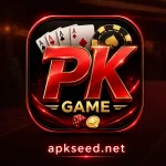 pkplus.game