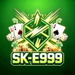 sk-e999 icon