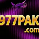 977pak icon