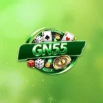 gn55 icon