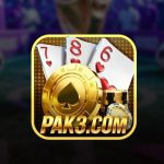 pak3 icon