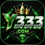 y333 icon